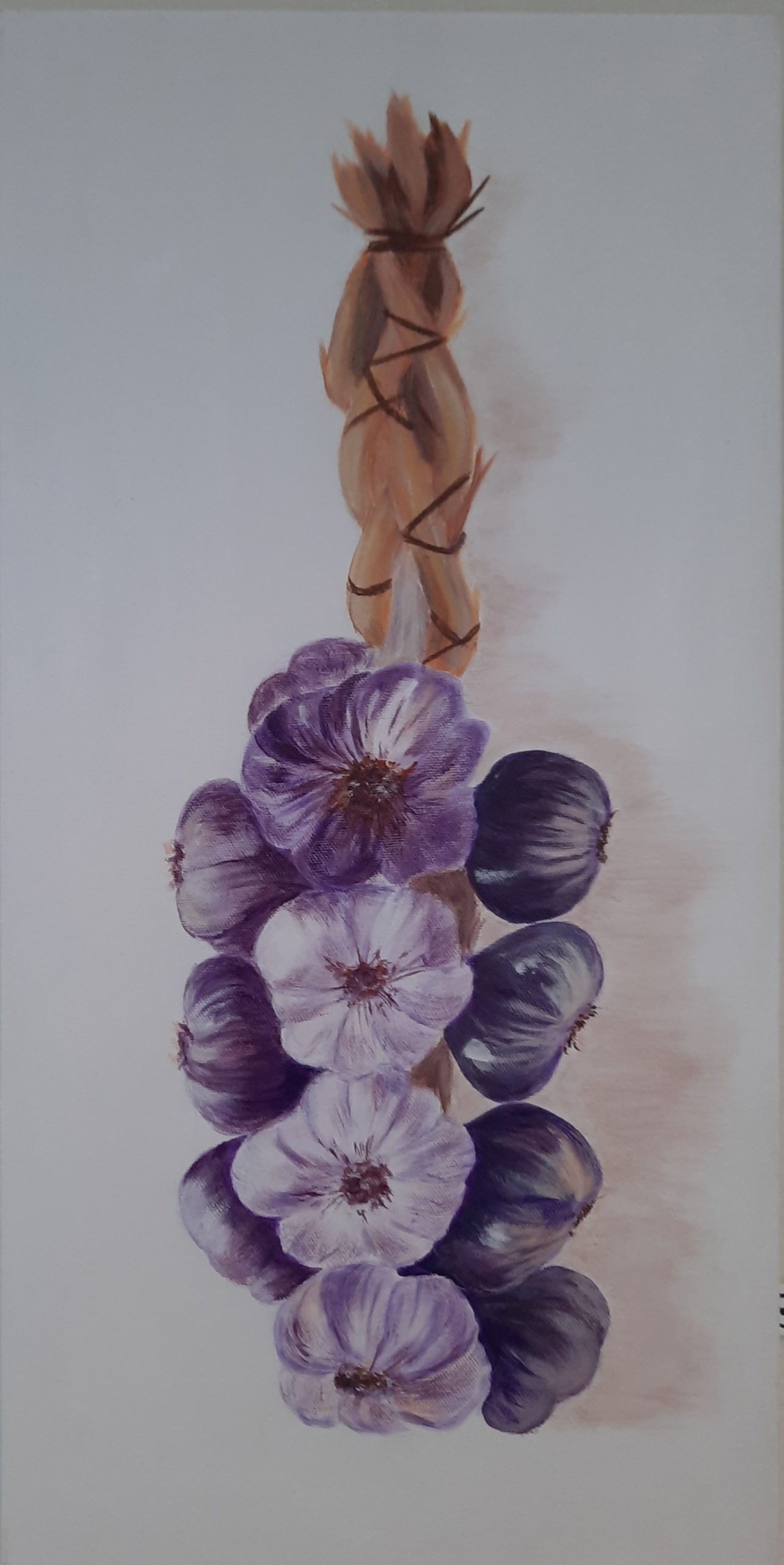 Tresse%20d'ail%20violet%20de%20Lautrec